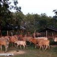 ການສ້າງອາຊີບ ແລະ ວຽກເຮັດງານທຳ ຂອງປະຊາຊົນບັນດາເຜົ່າກໍ່ແມ່ນສາຂາໜື່ງທີ່ມີຄວາມສຳຄັນ ເຮັດໃຫ້ຊີວິການເປັນຢູ່ດີຂື້ນ ໂດຍສະເພາະແມ່ນ ຄອບຄົວທ່ານ ຊຽງເພັງ ສິມມາວົງ ຄອບຄົວຕົວແບບລ້ຽງງົວລາດແບບຍືນຍົງ ໄດ້ລາຍງານຕໍ່ ກອງປະຊຸມໃຫຍ່ອົງຄະນະພັກເມືອງບໍລິຄັນ ຄັ້ງທີ VII ໄດ້ໄຂຂຶ້ນຢ່າງເປັນທາງການ ໃນວັນທີ 3 ມີນາ 2020ຢູ່ສະໂມສອນເມືອງບໍລິຄັນ ທ່ານ [&hellip;]