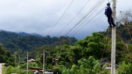 ໃນວັນທີ 8 ກັນຍາ 2020 ຢູ່ຫ້ອງການບ້ານເມືອງມ່ວນ ເມືອງວຽງທອງ ອົງການຈັດຕັ້ງມະຫາຊົນພະແນກພະລັງງານ ແລະ ບໍ່ແຮ່ ແລະ ລັດວິສາຫະກິດໄຟຟ້າລາວ ສາຂາແຂວງບໍລິຄຳໄຊ ໄດ້ເປີດຂະບວນການອອກແຮງງານລວມ ເຂົ້າຮ່ວມໂດຍ ທ່ານ ປອ ຄຳສິງ ສາຍພູວົງ ຄະນະພັກຮາກຖານ ຮອງຫົວໜ້າພະແນກ [&hellip;]