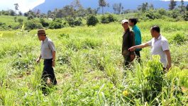 ໂດຍປະຕິບັດຕາມແຜນພັດທະນາເສດຖະກິດ-ສັງຄົມ ຂອງພັກ –ລັດວາງອອກ ເພື່ອເຮັດໃຫ້ຊີວິດການເປັນຢູ່ຂອງພໍ່ແມ່ປະຊາຊົນ ໄດ້ຮັບການພັດທະນາດີຂຶ້ນເປັນກ້າວໆ ສາມາດລຶບລ້າງຄວາມທຸກຍາກໄດ້ນັ້ນ ຄະນະພັກຮາກຖານກຸ່ມພັດທະນາຄຳມ່ວນ ເມືອງຄຳເກີດ ແຂວງບໍລິຄຳໄຊ ໄດ້ນຳເອົາແນວທາງ ການຊິ້ນຳ-ນຳພາ ຂອງຄະນະພັກຂັ້ນເທິງລົງໄກ້ສິດຕິດແທດ ແລະ ປຸກລະດົມປະຊາຊົນ ພາຍໃນກຸ່ມ ໃຫ້ເອົາໃຈໃສ່ທຳການຜະລິດ ປູກຝັງ-ລ້ຽງສັດ ໃຫ້ຫຼາຍ ໃຫ້ກຸ້ມກິນ ເຫລືອແຮໄວ້ [&hellip;]