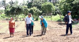 ການປູກຝັງ –ລ້ຽງສັດ ແມ່ນກິດຈະກຳໜຶ່ງ ທີ່ສືບທອດມາແຕ່ປູ່ຍ່າຕາຍາຍຂອງປະຊາຊົນລາວ, ຄົນລາວ ສ່ວນຫລາຍຍັງຕິດພັນກັບການທຳມາຫາກິນຕາມທຳມະຊາດ ອາໃສທຳມະຊາດ ໂດຍນຳໃຊ້ເງື່ອນໄຂອຳນວຍຄວາມສະດວກຂອງທຳມະຊາດ ເປັນສຳຄັນ. ໂດຍປະຕິບັດຕາມແນວທາງນະໂຍບາຍຂອງພັກວາງອອກ ທີ່ວ່າ ຢາກຫລຸດພົ້ນອອກຈາກຄວາມທຸກຍາກໄດ້ ຕ້ອງປູກ ກັບ ລ້ຽງ, ຍ້ອນແນວນັ້ນ ໂດຍອາໃສທ່າແຮງທາງດ້ານພື້ນທີ່ ແລະ ມູນເຊື້ອການອອກແຮງງານ, ຊາວບ້ານໂພນທອງ [&hellip;]