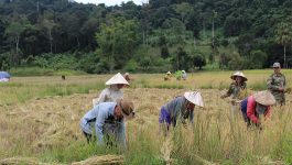        ບ້ານນາເດື່ອ ເປັນບ້ານໜຶ່ງ ທີ່ຂຶ້ນກັບເມືອງຄຳເກີດ ແຂວງບໍລິຄຳໄຊ ປະຊາຊົນພາຍໃນບ້ານແມ່ນຢຶດຖືອາຊີບປູກຝັງ-ລ້ຽງສັດເປັນອາຊີບຕົ້ນຕໍ ໂດຍມີເນື້ອທີ່ນາປີທັງໜົດ 80 ເຮັກຕ່າ, ຕາມການລາຍງານຂອງທ່ານ ໄມຕາ ພົມມະຈັນ ຮອງນາຍບ້ານໆນາເດື່ອ ໃນຄັ້ງວັນທີ່ 14 ຕຸລາ 2020 ໃຫ້ຮູ້ວ່າ: [&hellip;]