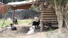 ທ່ານ ບົວແກ້ວ ສຸດທິໄຊ ຮອງນາຍບ້ານ-ບ້ານໃຫຍ່ທົ່ງແສນ ເມືອງຄຳເກີດ ແຂວງບໍລິຄຳໄຊ ໃຫ້ສໍາພາດຕໍ່ນັກຂ່າວໃນວັນທີ 9 ພະຈິກ 2020 ວ່າ: ບ້ານໃຫຍ່ທົ່ງແສນ ເປັນບ້ານໜຶ່ງທີ່ນອນຢູ່ໃນກຸ່ມພັດທະນາທົ່ງແສນ ປະກອບມີ 3 ຄຸ້ມ ຄື: ຄຸ້ມໂພນສີ, ຄຸ້ມໂພນວິໄລ ແລະ [&hellip;]