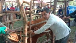 ເພື່ອເປັນການຊົມເຊີຍວັນສັກປ້ອງກັນພະຍາດສັດແຫ່ງຊາດ ວັນທີ 11 ພະຈິກ ຂອງທຸກໆປີ ທີ່ໄດ້ໝຸນວຽນມາຄົບຮອບອີກວາລະຫນຶ່ງ. ໃນຕອນເຊົ້າວັນທີ 13 ພະຈິກ 2020 ນີ້ ຫ້ອງການກະສິກຳແລະ ປ່າໄມ້ເມືອງປາກກະດິງ ແຂວງບໍລິຄຳໄຊ ໄດ້ຈັດພິທີ ເປີດການຈັດຕັ້ງປະຕິບັດສັກຢາປ້ອງກັນພະຍາດສັດລ້ຽງປະຈຳປີຂື້ນ ຢູ່ທີ່ສະໂມສອນເດີ່ນກິນຈຽງບ້ານທົ່ງນາມີ. ເປັນກຽດເຂົ້າຮ່ວມຂອງທ່ານ ໂຄສາຈານ ແສນທະວີໄຊ [&hellip;]