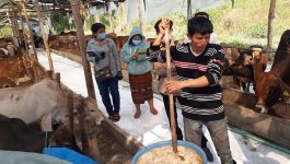   ໃນວັນທີ 16 ກຸມພາ 2021 ຢູ່ຫ້ອງການກະສິກໍາ ແລະ ປ່າໄມ້ ເມືອງທ່າພະບາດ ແຂວງບໍລິຄຳໄຊ ໄດ້ຈັດຊຸດຝຶກອົບຮົມ ເຕັກນິກການລ້ຽງສັດໃຫຍ່ ໃຫ້ແກ່ເຈົ້າຂອງຟາມ ແລະ ພໍ່-ແມ່ ປະຊາຊົນ ຜູ້ທີ່ລ້ຽງສັດໃຫຍ່ ພາຍໃນເມືອງ, ເປັນກຽດເຂົ້າຮ່ວມຝຶກອົບຮົມໃນຄັ້ງນີ້ໂດຍ ທ່ານ [&hellip;]
