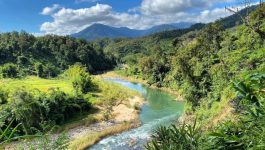 ກອງປະຊຸມລາຍງານຜົນການປະຕິບັດແຜນ ໂຄງການຄຸ້ມຄອງລະບົບນິເວດວິທະຍາ ແລະ ສັດປ່າ ແບບປະສົມປະສານ ໄລຍະ IV ໄດ້ຈັດຂຶ້ນໃນວັນທີ 23 ມີນາ 2022 ຢູ່ຫ້ອງປະຊຸມພະແນກະສິກໍາ ແລະ ປ່າໄມ້ແຂວງ ເປັນປະທານໂດຍ ທ່ານ ບຸນເສັງ ປະທໍາມະວົງ ຮອງເຈົ້າແຂວງບໍລິຄຳໄຊ ມີຄະນະຮັບຜິດຊອບຈາກກະຊວງ, [&hellip;]