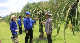 ທ່ານ ວັດທະນາ ຂຸນບູລົມ ອາຊີບພະນັກງານ ສັງກັດຢູ່ຫ້ອງວ່າການເມືອງທ່າພະບາດ ຢູ່ບ້ານນາໄຊ ເມືອງທ່າພະບາດ ແຂວງບໍລິຄຳໄຊ ເປັນຄອບຄົວໜຶ່ງທີ່ມີຄວາມດຸໝັ່ນ ຫັນເອົາການຜະລິດທີ່ຕະຫຼາດຕ້ອງການ ເຂົ້າສູ່ຂະບວນຜະລິດຕົວຈິງ,  ໃນຄອບຄົວຂອງທ່ານ ມີ 4 ຄົນ, ລູກ 2 ຄົນ, ແຮງງານຫຼັກ 2 [&hellip;]