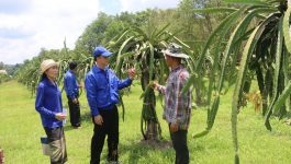 ທ່ານ ວັດທະນາ ຂຸນບູລົມ ອາຊີບພະນັກງານ ສັງກັດຢູ່ຫ້ອງວ່າການເມືອງທ່າພະບາດ ຢູ່ບ້ານນາໄຊ ເມືອງທ່າພະບາດ ແຂວງບໍລິຄຳໄຊ ເປັນຄອບຄົວໜຶ່ງທີ່ມີຄວາມດຸໝັ່ນ ຫັນເອົາການຜະລິດທີ່ຕະຫຼາດຕ້ອງການ ເຂົ້າສູ່ຂະບວນຜະລິດຕົວຈິງ,  ໃນຄອບຄົວຂອງທ່ານ ມີ 4 ຄົນ, ລູກ 2 ຄົນ, ແຮງງານຫຼັກ 2 [&hellip;]