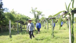 ເພື່ອເປັນການປະຕິບັດວຽກງານຂະບວນການແຂ່ງຂັນ 4 ບຸກຂອງຊາວໜຸ່ມປະຊາຊົນປະຕິວັດລາວ ໃຫ້ປະກົດຜົນເປັນຈິງ ເປັນຕົ້ນ: ບຸກທາງດ້ານສົ່ງເສີມສ້າງວຽກເຮັດງານທຳຂອງຊາວໜຸ່ມ, ສ້າງວຽກເຮັດງານທໍາ ແກ້ໄຂຄວາມທຸກຍາກ ແລະ ກ້າວໄປເຖິງສ້າງເປັນຄອບຄົວຕົວແບບ ຄະນະບໍລິຫານງານຊາວໜຸ່ມແຂວງ ບໍລິຄຳໄຊ ໄດ້ລົງຕິດຕາມ, ຊຸກຍູ້ ແລະ ສົ່ງເສີມ ຄອບຄົວຊາວໜຸ່ມຕົວແບບ ຢູ່ເມືອງ ທ່າພະບາດ ແຂວງ [&hellip;]