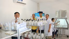 ໂຄງການຜະລິດເຫັດເປັນອາຫານ ແລະ ເປັນຢາ ຂອງແຂວງບໍລິຄຳໄຊ ໄດ້ເລີ່ມລົງມືຈັດຕັ້ງປະຕິບັດຢ່າງເປັນທາງການ ໃນວັນທີ 26 ກັນຍາ 2022 ຢູ່ສູນທ່າກົກຄູນ ບ້ານປັດຊຸມ ເມືອງປາກຊັນ ເຂົ້າຮ່ວມໂດຍ ທ່ານ ລັງສີ ແກ້ວວິເສດ ຫົວໜ້າພະແນກເຕັກໂນໂລຊີ ແລະ ການສື່ສານແຂວງບໍລິຄຳໄຊ ສປປ [&hellip;]