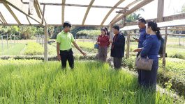 ໃນຕອນເຊົ້າຂອງວັນທີ 10 ພະຈິກ 2022 ທ່ານ ຈັນສີຫວ່າງ ຢົງຫວ່າງ ຮອງຫົວໜ້າຫ້ອງວ່າການເມືອງຄຳເກີດ ໄດ້ນຳພາຂະບວນການນຳເມືອງ ພ້ອມດ້ວຍນາຍບ້ານ 62 ບ້ານທົ່ວເມືອງ ໄດ້ໄປທັດສະນະສຶກສາການປູກຜັກອິນຊີຢູ່ບ້ານນາຫາດ ໂດຍການຕ້ອນຮັບຂອງທ່ານ ອ່ອນນ້ອຍ ໄຊຍະສານ ນາຍບ້ານນາຫາດ ພ້ອມດ້ວຍກຸ່ມປູກຜັກອິນຊີຂອງບ້ານ. ທ່ານ ຫອມແພງ [&hellip;]