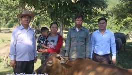 ໃນວັນທີ 2 ພະຈິກ 2022 ທ່ານ ຄໍາແພນ ວິລືທໍາ ເຈົ້າເມືອງວຽງທອງ ໄດ້ລົງຊຸກຍູ້ການຜະລິດກະສີກໍາການປູກ – ການລ້ຽງຂອງຄອບຄົວ ທ່ານ ຊຽງບານ ສີບູນເຮືອງ ປະຊາຊົນຢູ່ບ້ານນາເພີນ, ເມືອງວຽງທອງ ເຊີ່ງເປັນຄອບຄົວຕົວແບບໃນການລ້ຽງສັດແບບປະສົມປະສານ ເຊີ່ງເປັນພື້ນຖານໃນການສ້າງເສດຖະກິດຄອບຄົວ ເຮັດໃຫ້ຫລຸດພົ້ນອອກຈາກຄວາມທຸກຍາກເທື່ອລະກ້າວ. ທ່ານ [&hellip;]