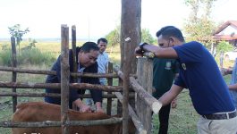 ພິທີສັກຢາກັນພະຍາດສັດແຫ່ງຊາດ ໄດ້ຈັດຂຶ້ນໃນວັນທີ 3 ພະຈິກ 2022 ຢູ່ບ້ານຜາໂປງ ເມືອງທ່າພະບາດ, ເຊີ່ງໄດ້ກໍານົດເອົາວັນທີ 11 ພະຈິກ ຂອງທຸກໆປີ ເປັນວັນສັກຢາກັນພະຍາດແຫ່ງຊາດ ໃຫ້ກຽດເຂົ້າຮ່ວມພິທີໂດຍ ທ່ານ ກອນ ຫຼວງພິທັກ ຮອງເຈົ້າເມືອງທ່າພະບາດ, ທ່ານ ບຸນເພັງ ຈັນທະວົງສຸກ [&hellip;]