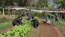 ໂດຍປະຕິບັດຕາມຄຳສັ່ງແນະນຳ ຂອງກະຊວງປ້ອງກັນປະເທດ ກ່ຽວກັບການສ້າງພາລາທິການກັບທີ່ ຂອງກຳລັງ ປກຊ ຖືວ່າເປັນວຽກງານໜຶ່ງທີ່ສຳຄັນ ແລະ ຈຳເປັນໃນການກະກຽມສະບຽງອາຫານ ໄວ້ໃນຍາມວິກິດສຸກເສີນ ແລະ ສ້າງລາຍຮັບໃຫ້ກັບກົມກອງ. ທ່ານ ພັທ ຈັນໄທ ຂຸນອຸດົມ ຮອງຫົວໜ້າພະແນກພາລາທິການທະຫານເມືອງປາກກະດິງ ໄດ້ໃຫ້ສຳພາດ ໃນວັນທີ 29 ພະຈິກ [&hellip;]