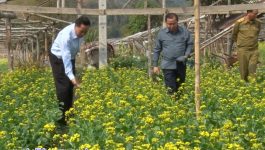 ໃນຕອນບ່າຍຂອງວັນທີ 8 ກຸມພາ 2023 ທ່ານ ກອງແກ້ວ ໄຊສົງຄາມ ເຈົ້າແຂວງບໍລິຄໍາໄຊ ພ້ອມຄະນະ ໄດ້ລົງຊຸກຍູ້ຊາວກະສິກອນປູກຜັກອິນຊີເຮືອນຮົ່ມ ບ້ານນາຫາດ ເມືອງຄຳເກີດ ໂດຍມີການນຳຂັ້ນເມືອງ, ຂະແໜງການທີ່ກ່ຽວຂ້ອງຮ່ວມພາທາງ. ທ່ານ ສົມພົນເພັງ ລາດສະສົມບັດ ຫົວໜ້າຫ້ອງການກະສິກຳ ແລະ ປ່າໄມ້ [&hellip;]