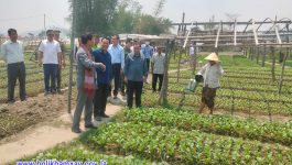 ປະທານປະເທດແຫ່ງ ສປປ ລາວ ລົງຢ້ຽມຢາມການຜະລິປະຊາຊົນບ້ານນາຫາດ