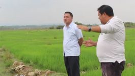ເຈົ້າເມືອງທ່າພະບາດ ລົງຊຸກຍູ້ແກ້ໄຂນ້ຳຊົນລະປະທານການຜະລິດເຂົ້ານາແຊງ ບ້ານຜາໂປງ
