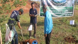 ເມືອງ ວຽງທອງ ສະເຫຼີມສະຫຼອງວັນເດັກນ້ອຍສາກົນ ຕິດພັນກັບວັນປູກຕົ້ົ້ນໄມ້ແຫ່ງຊາດ