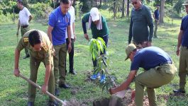 ໂຮງຮຽນ ປກສ ຊັ້ນຕົ້ນເລກ 04 ສ້າງຂະບວນການປູກຕົ້ນໄມ້
