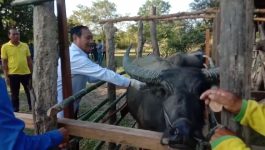 ຫ້ອງການກະສິກຳ ແລະ ປ່າໄມ້ເມືອງປາກກະດິງ ໄດ້ຈັດພິທີສັກວັກຊີນປ້ອງກັນພະຍາດສັດ