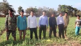 ຮອງລັດຖະມົນຕິກະຊວງກະສິກຳ ແລະ ປ່າໄມ້ລົງຢ້ຽມຢາມສວນປູກຖົ່ວລຽນ ແລະ ກຸມປູກໝາກໂມ