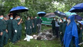 ກອງປ່າໄມ້ ພະແນກກະສິກຳ ແລະ ປ່າໄມ້ແຂວງ ຈັດພິທີທຳລາຍສັດປ່າ ຊີ້ນສ່ວນສັດປ່າທີ່ເຈົ້າໜ້າທີ່ປ່າໄມ້ຍືດມາໄດ້