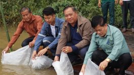 ເມືອງປາກກະດິງ ຈັດພິທີປ່ອຍລູກປາ ລົງສູ່ແມ່ນ້ຳທຳມະຊາດ 38.000 ກ່ວາໂຕ